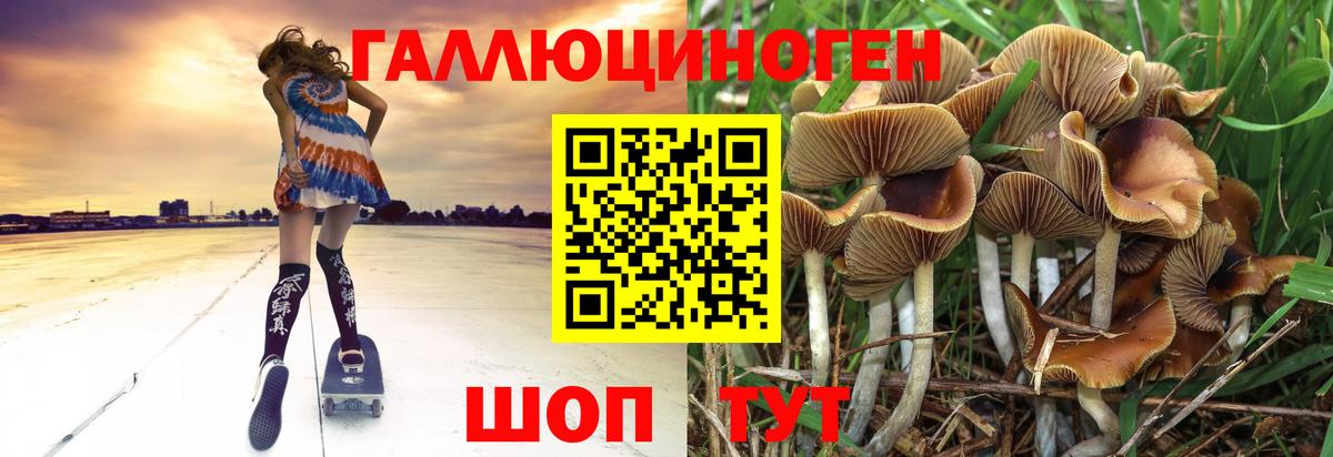 Псилоцибиновые грибы ЛСД Богородск