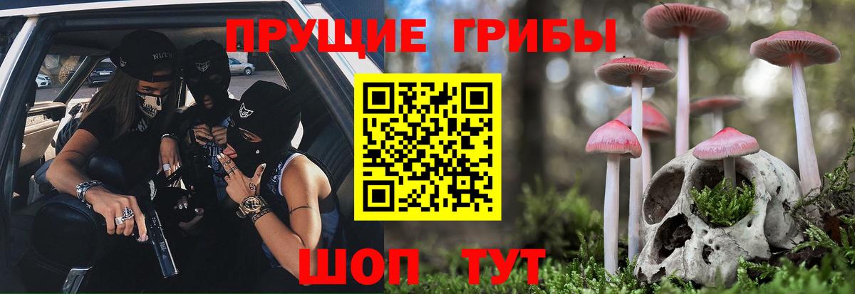 Богородск  Галлюциногенные грибы GOLDEN TEACHER  Вход с VPN 